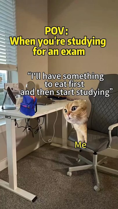 When you’re studying for an exam😾