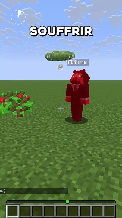 Devine le mot sur Minecraft