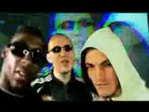 Kamelancien-La Joie De Survivre