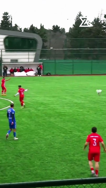 Futbolcunun şutu havada uçan martıyı düşürdü! Kalp masajıyla hayata döndü