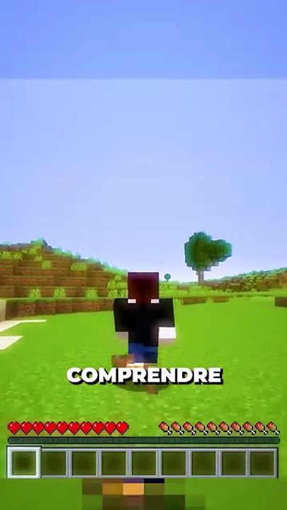 🤔 Donne ton avis en commentaire ! #minecraft