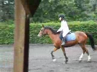 4ème gàlOp dréssàge 080