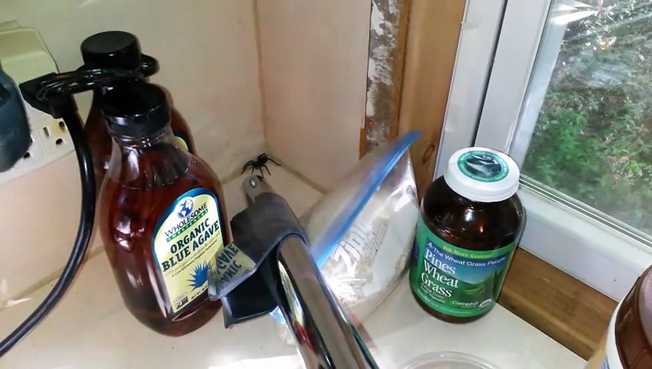 spider vs vacuum