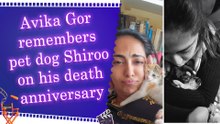 Avika Gor pens moving tribute to her 'little angel' Shiroo, welcomes new rescued kitten Sheree