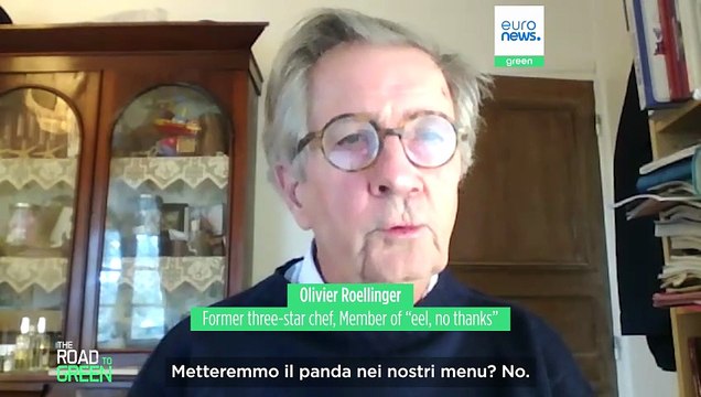 Gli chef stellati invitano a smettere di mangiare anguille: Mangeresti un panda?