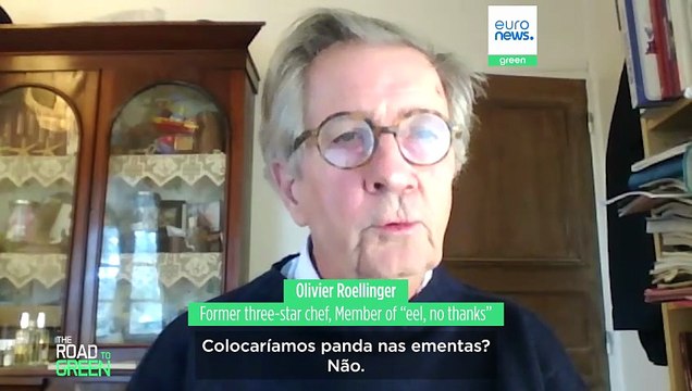 Comeria um panda? Milhares de chefs apelam a uma moratória sobre a enguia europeia