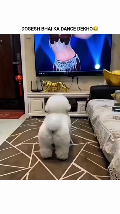 When Dogs Make You Dance 🐶💃”