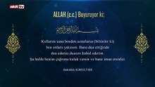 Bir ayet bir hadis