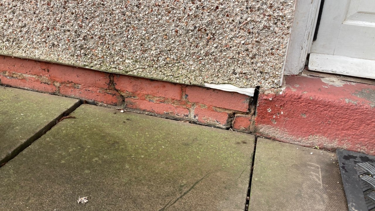 Netherton residents say tree roots are damaging homes on Newark Road