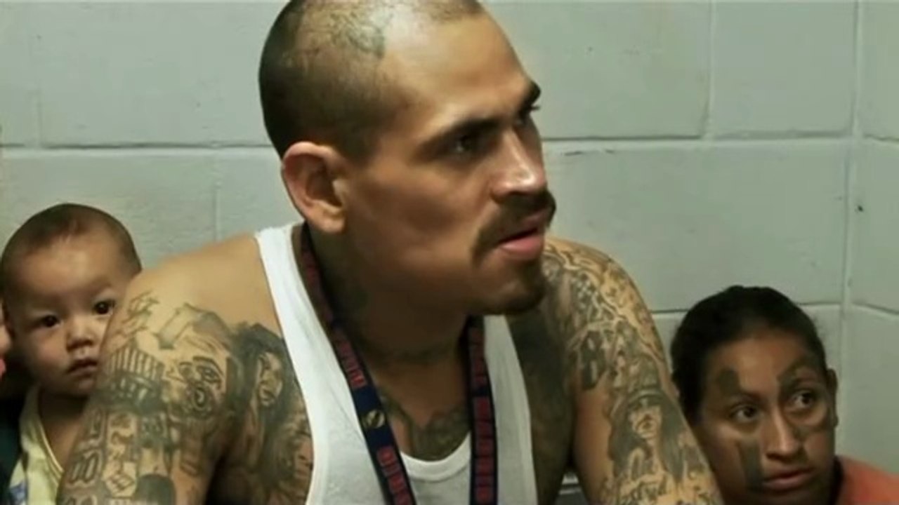 La Vida Loca (2008) - cine.flipax.es