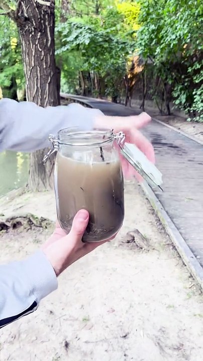 J’ai laissé ce bocal fermé pendant 6 mois !