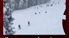 Una osa y sus dos crías sorprenden a esquiadores al irrumpir en una pista de California
