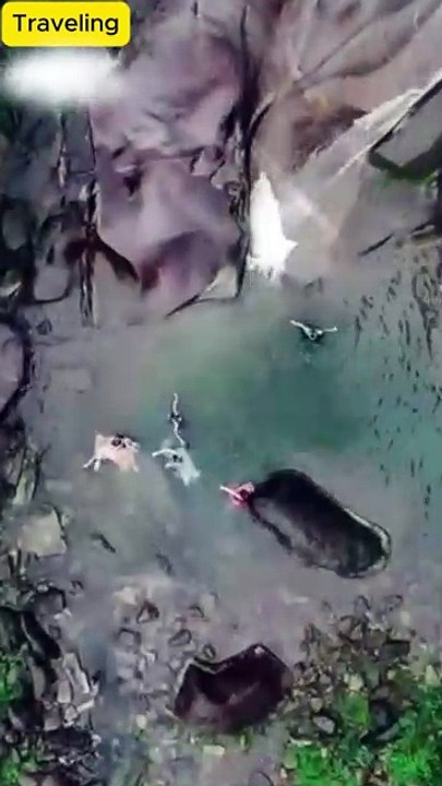 Olho Divino, Poder Sem Limites Dublado