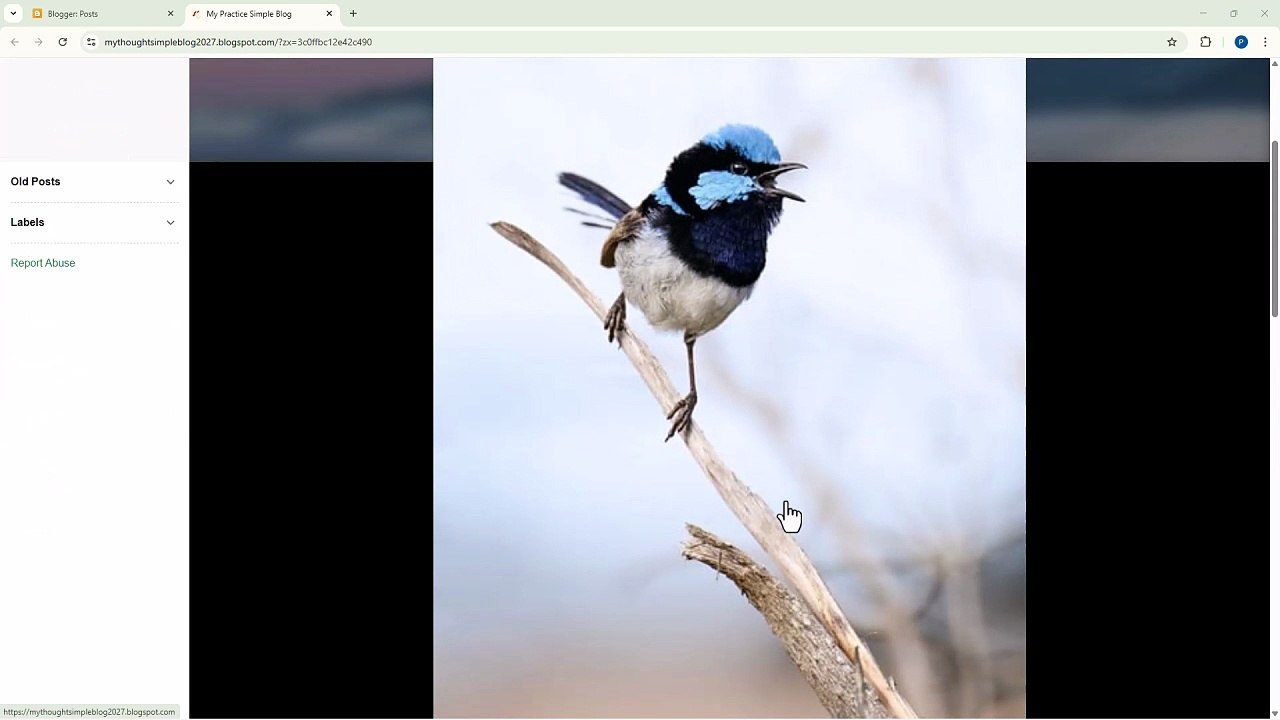 Blogger 61 Translate Widget