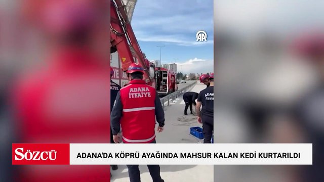 Adana'da nehirde suyun yükselmesiyle köprü ayağında mahsur kalan kedi kurtarıldı