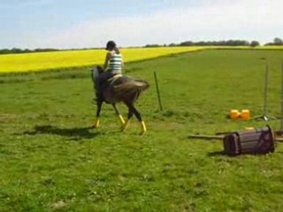 Photo 1331413