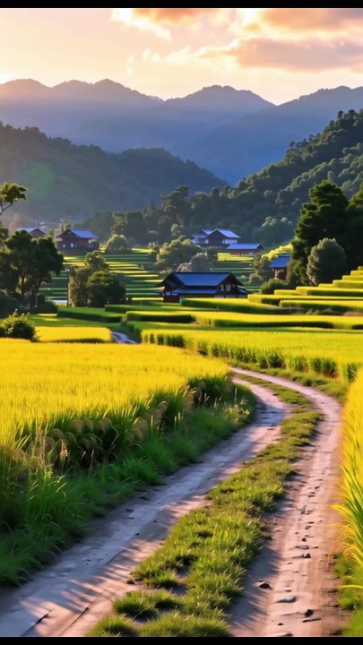 “The past feels warmer than the present sometimes.”