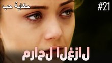 مراحل الغزال