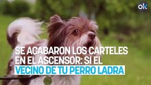Se acabaron los carteles en el ascensor: si el vecino de tu perro ladra el artículo 6 de la Ley de Propiedad Horizontal te avala