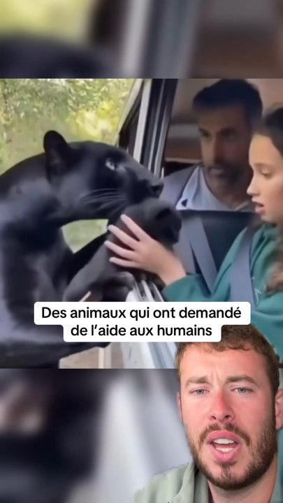 Bravo à eux !