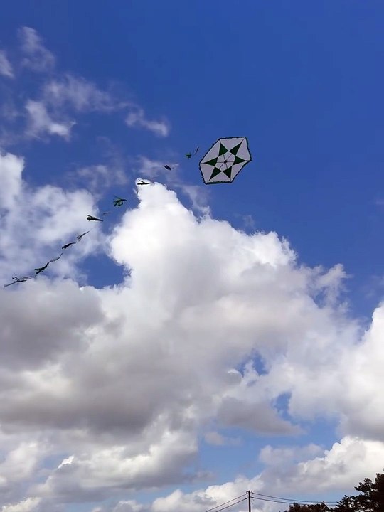 Η ανάρτηση του Κώστα Μπακογιάννη με τον χαρταετό