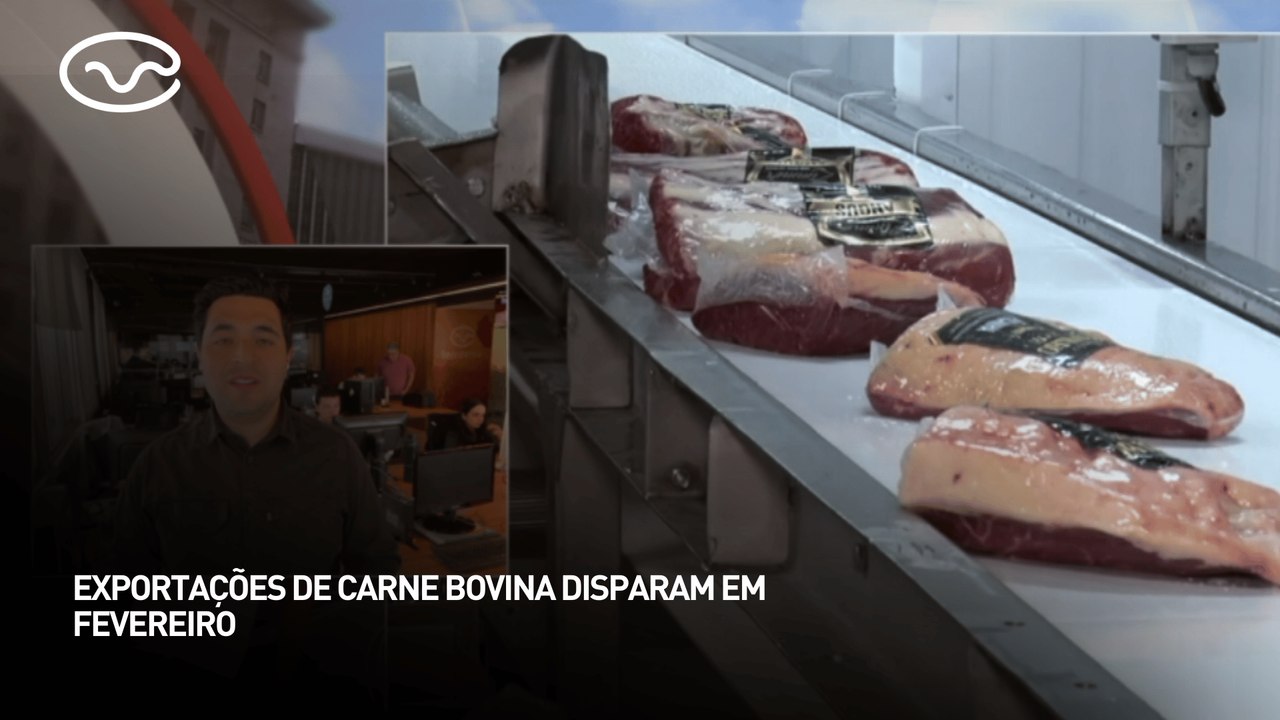 Exportações de carne bovina disparam em fevereiro