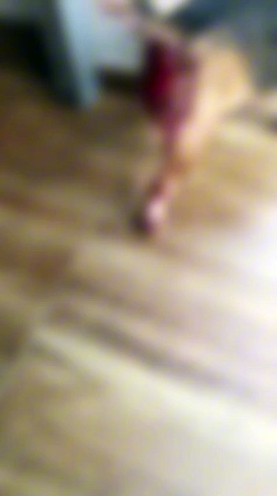 WhatsApp Video 2026-02-23 at 17.46.29