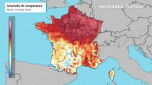 Jusqu'à 12°C au-dessus des normales : la douceur s'annonce marquée cette semaine !