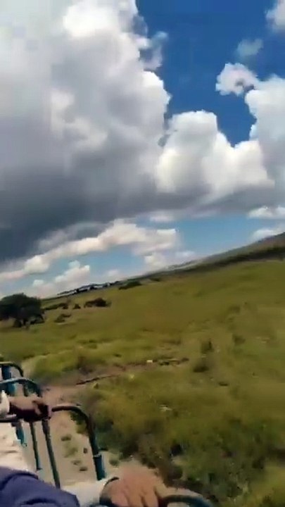 vid-20260223-wa1490.mp4