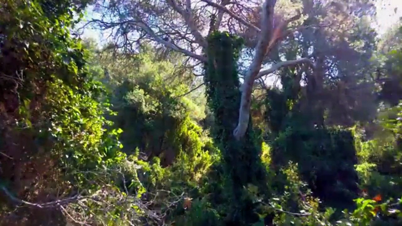 AMAZING VIDEO