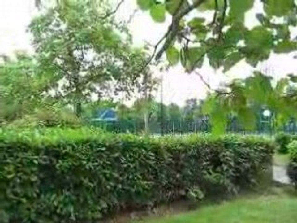 Parkour reprise