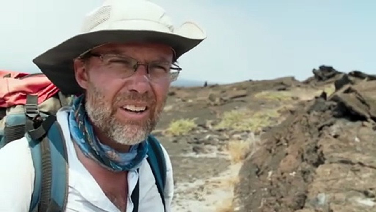 Perfect Planet BBC Earth with Subtitles | Story Highlights, Analysis & Search Trends