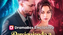 Persiguiendo a su esposa Alfa rechazada