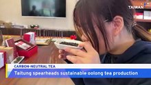 Taitung Farmers Roll Out World’s First Carbon-Neutral Oolong Tea
