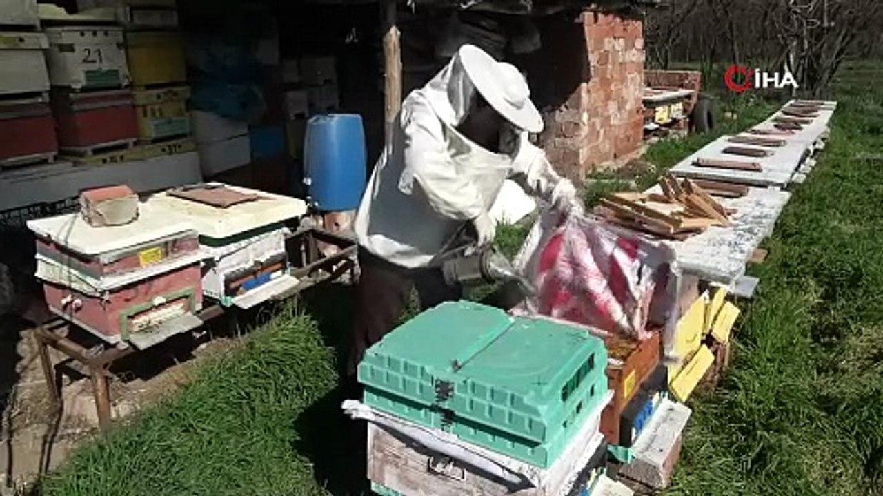 Bu seçimde kazananı ’arılar’ belirleyecek