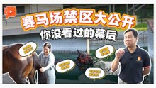 新年特备 | 赛马场探秘  速度背后的日与夜