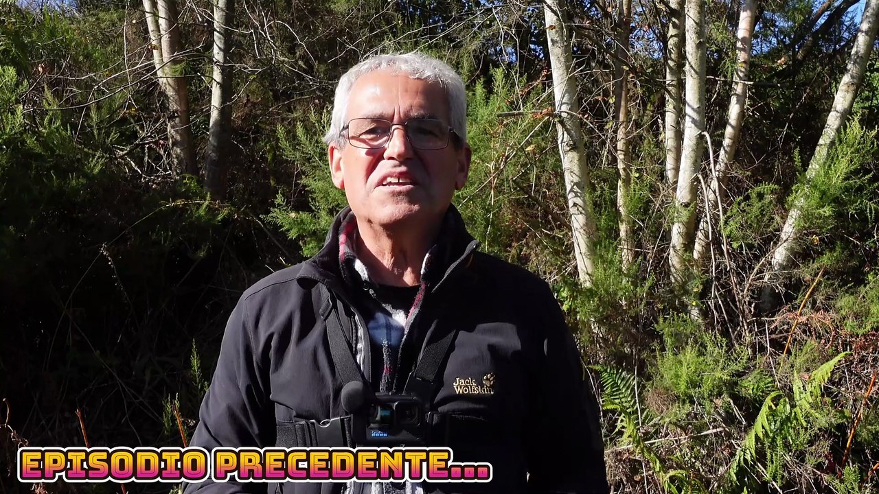 🌄Alba Maestosa E Ricca Di Sfumature Catturata Dal Mini 2 🚁- Labiaron #4 Parte 2