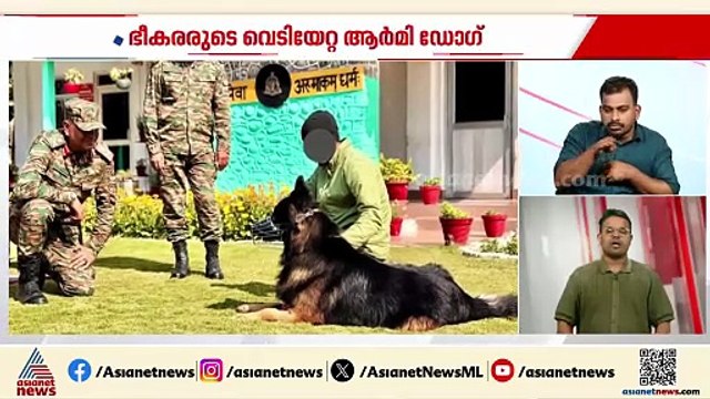 ടൈസൺ ഓൺ ഫുൾ പവര്‍; പുതിയ ചിത്രങ്ങൾ പങ്കുവെച്ച് സേന