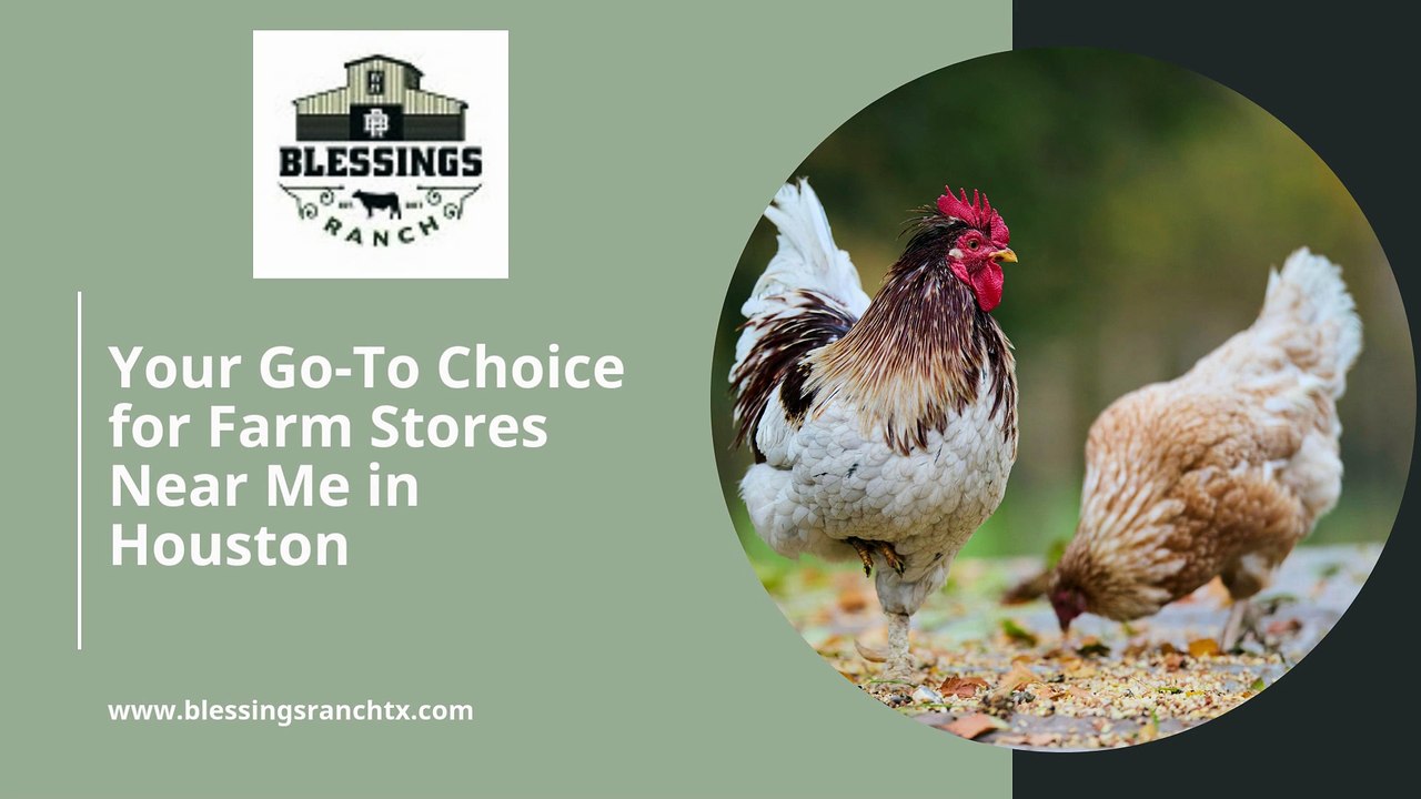 Your Go-To Choice for Farm Stores Near Me in Houston