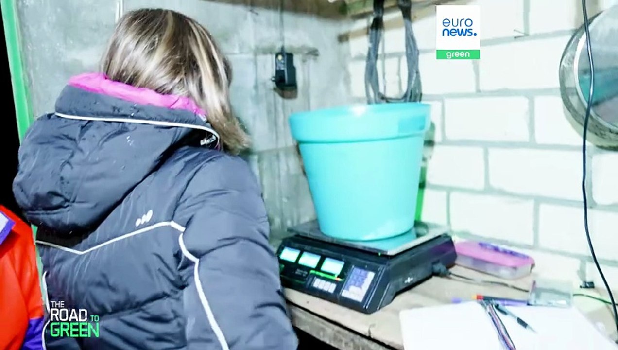 Rettung des Europäischen Aals: Kann die Zusammenarbeit den milliardenschweren Handel stoppen?