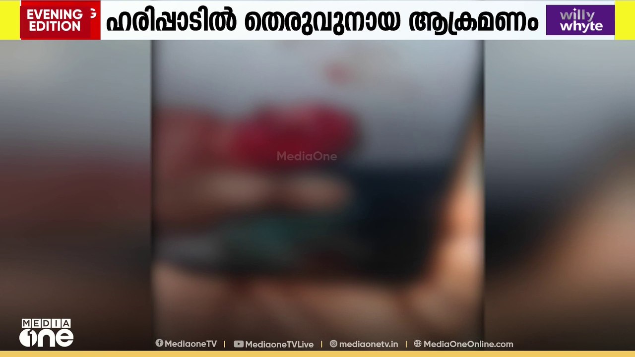മൂന്ന് വയസുകാരന് നേരെ തെരുവ് നായ ആക്രമണം