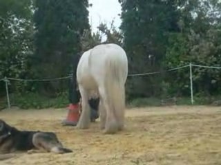 cache cache avec mon loulou