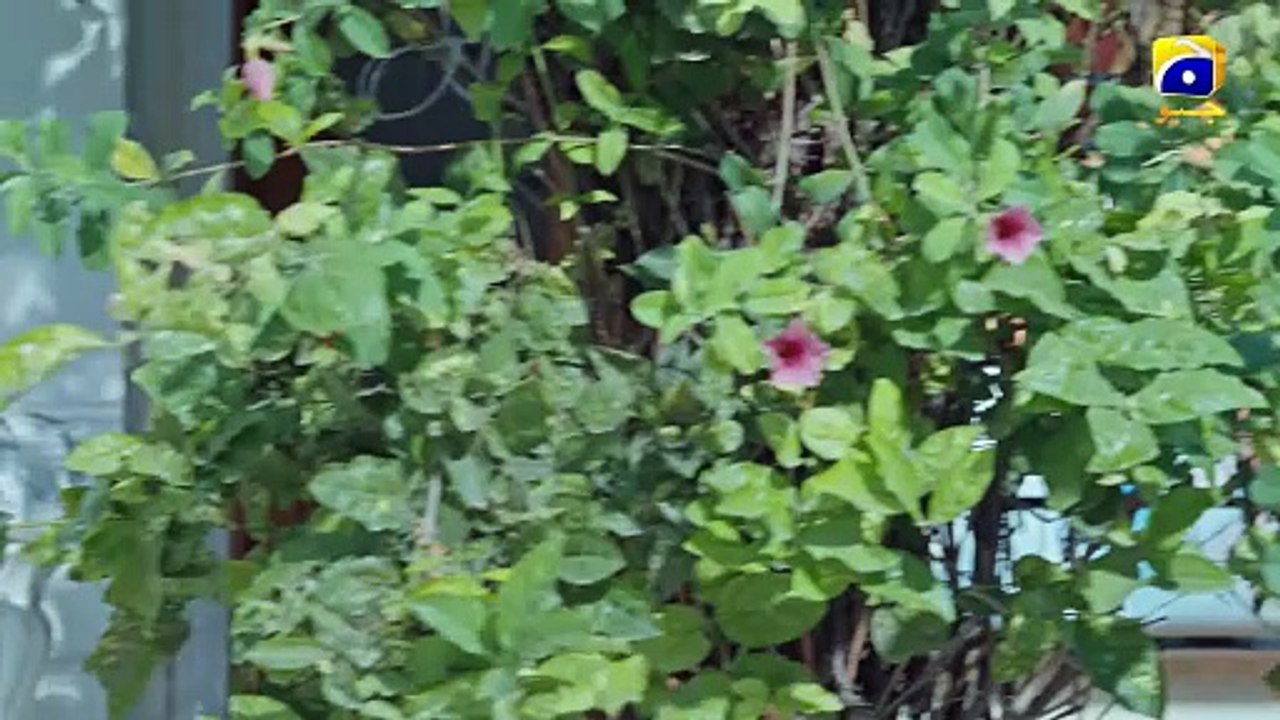 Sara Aapi Episode 07    Savera Nadeem Sami Khan Sidra Niazi Har Pal Geo