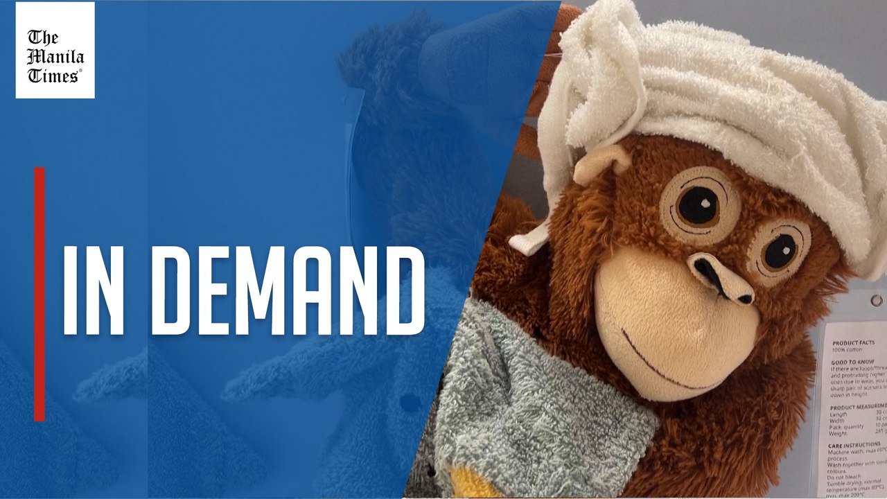 Viral orangutan plushie favored by abandoned monkey sold out