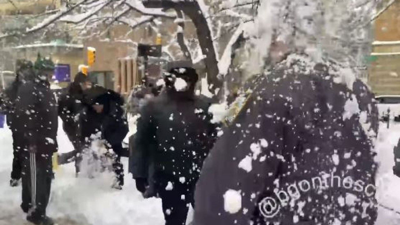 Poliziotti bersagliati da palle di neve a New York: il video da Washington Square Park. Aperta un'indagine