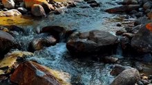 Keep Moving Like the River