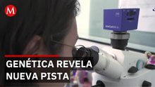 Científicos de la UNAM hallan vínculo clave entre cáncer y ascendencia genética