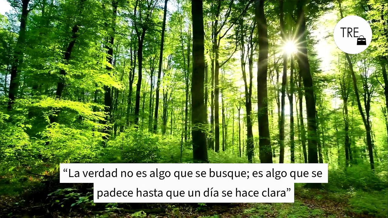 María Zambrano, filósofa: “La verdad no es algo que se busque; es algo que se padece hasta que un día se hace clara”