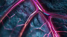 new live wallpaper hd 4k