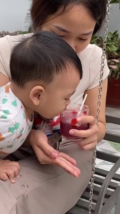 Adorable Monkey Sips Drink with Straw